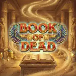 Book of Dead gra w 1win Casino dla graczy z Polski Book of Dead gra w 1win Casino dla graczy z Polski