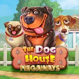 The Dog House Megaways gra w 1win Casino dla graczy z Polski The Dog House Megaways gra w 1win Casino dla graczy z Polski