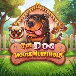 The Dog House Multihold gra w 1win Casino dla graczy z Polski The Dog House Multihold gra w 1win Casino dla graczy z Polski